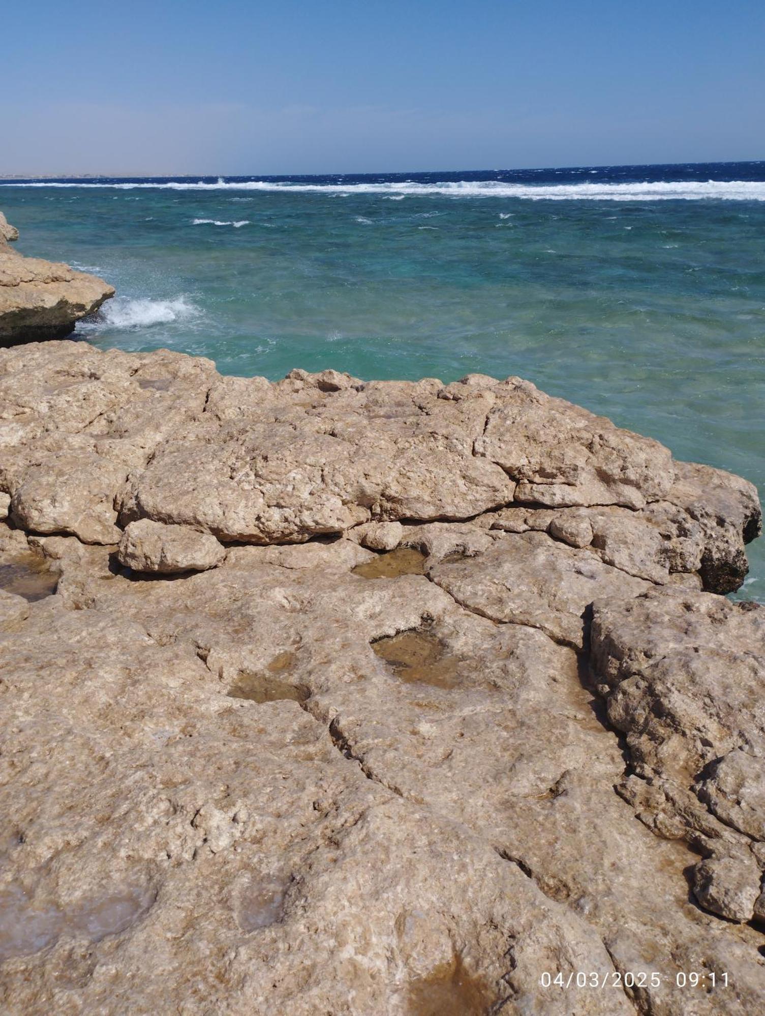Oyster Bay Resort And Spa Marsa Alam Extérieur photo